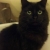 Testimonial image