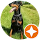 Testimonial image