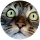 Testimonial image